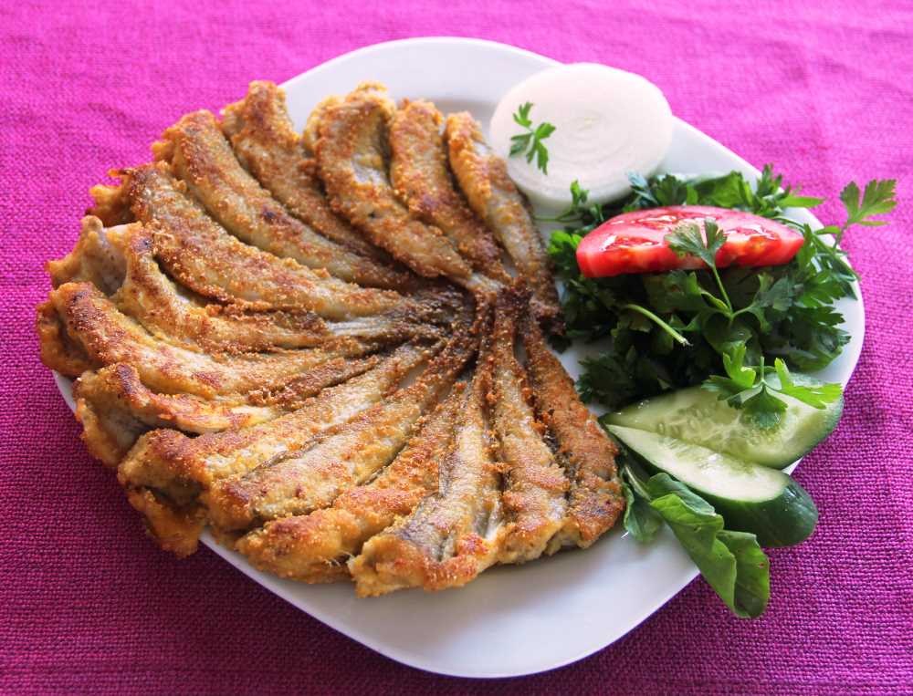 Mezgit