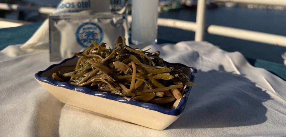Kaya Koruğu