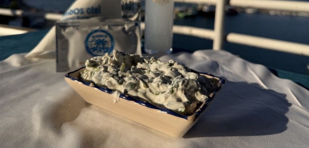 Yoğurtlu Semizotu